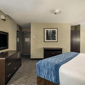 Ground Floor King Room